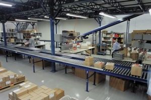 Conveyor Systems